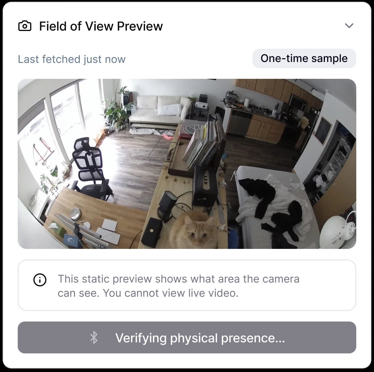 Field of view preview: a static snapshot of what the camera can see, while Arca verifies physical presence