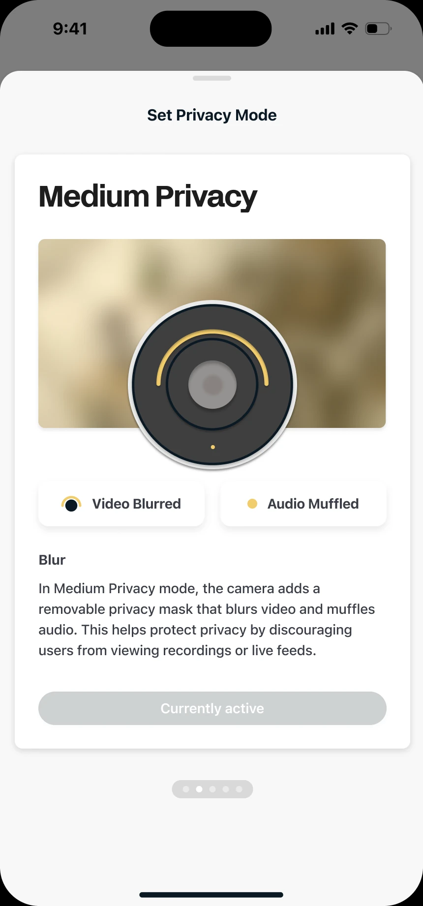 Set privacy mode: Medium Privacy blurs video and muffles audio