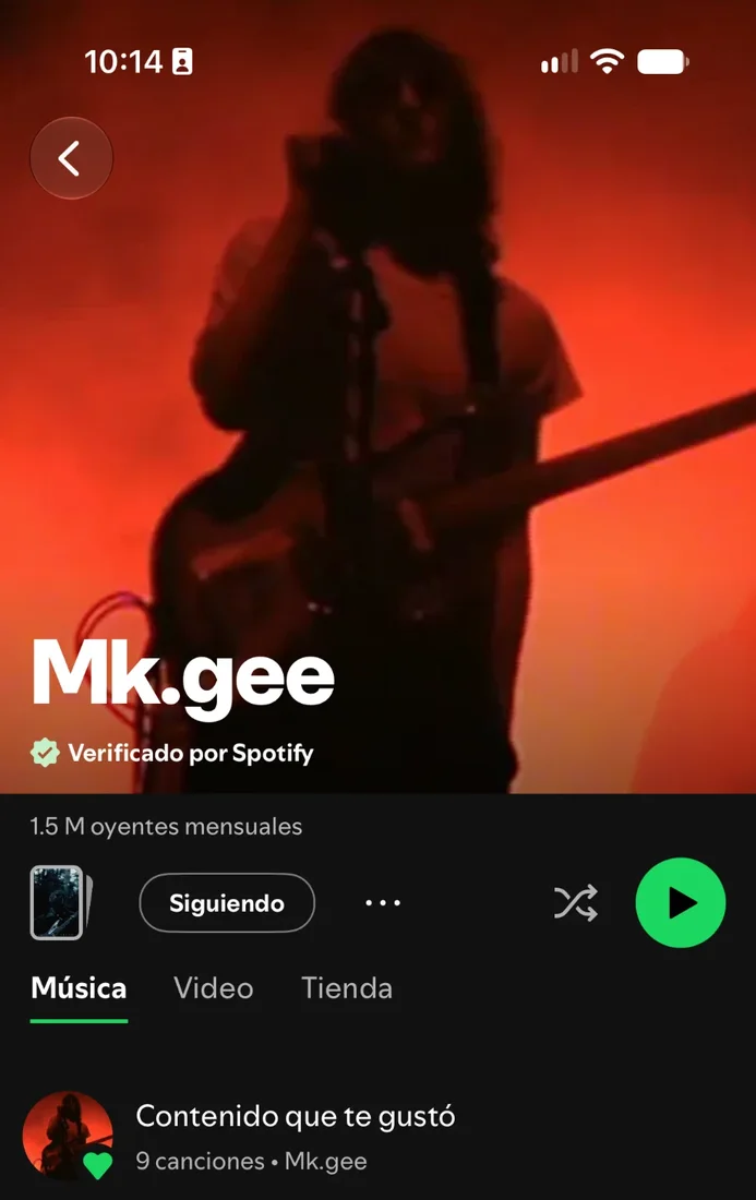 Artist page on mobile